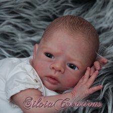 Kaylin скульптора Petra Lechner