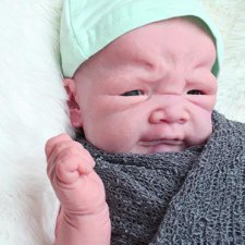 Новые малыши у Adrie Stoete