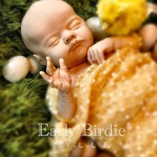 Молд для куклы реборн Early Birdie скульптора Laura Lee Eagles