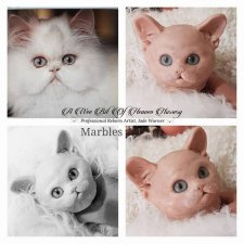 Marbles от скульптора Jade Warner