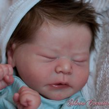 Chase скульптора Bonnie Brown, автор прототипа Silvia Ezquerra