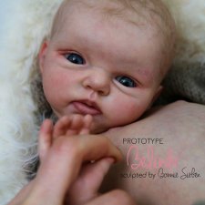 Belinda от Bonnie Sieben, прототип от Shaylen Maxwell