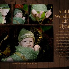 Woodland Elf Flynn от скульптора Laura Lee Eagles