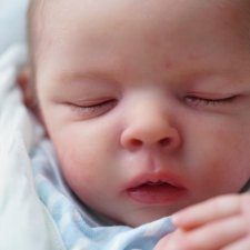 Lola скульптора Bonnie Sieben, автор прототипа Bianca Franke