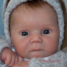 Ducklin скульптора Adrie Stoete, автор прототипа Silvia Ezquerra