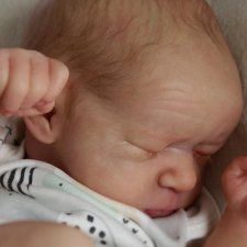 Ossie скульптора Priscilla Lopes, автор прототипа Beatriz Clemente