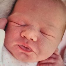 Macie скульптора Cassie Ann Brace, автор прототипа Holly Paz