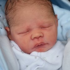 Lou скульптора Severine Piret, автор прототипа Kelly Dudley