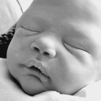 Alessandro скульптора Cassie Ann Brace