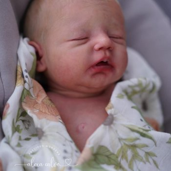 Noa скульптора Severine Piret, автор прототипа Alexa Calvo