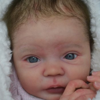 Mayven by Viviane Aleluia, автор Kelly Dudley