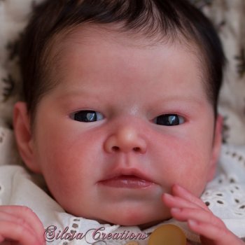 Silvia скульптора Adrie Stoete, автор прототипа Silvia Ezquerra