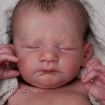 Frizzle скульптора Severine Piret, автор прототипа Silvia Ezquerra