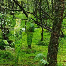 Скульптуры-призраки в шотландском лесу