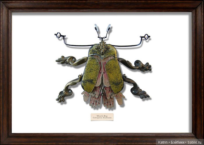 Мусорные Жуки от Mark Oliver (фото 8)