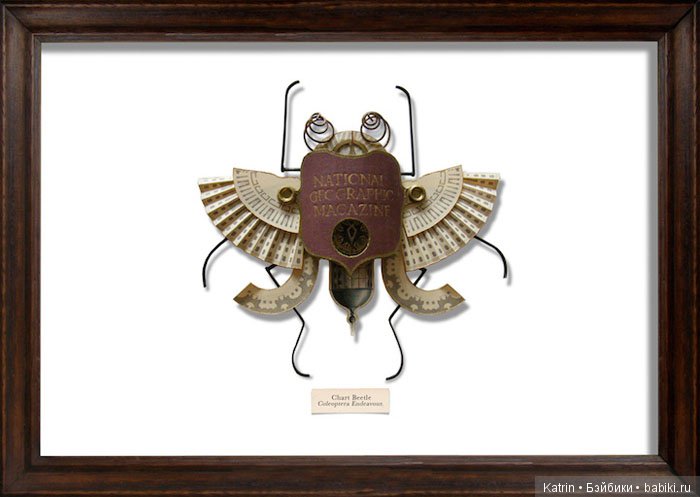 Мусорные Жуки от Mark Oliver