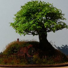 Дом хоббита в тени бонсая: проект Криса Гайза