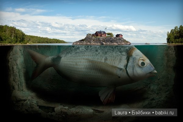 Фотохудожник Эрик Йоханссон