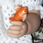 Про Золотую рыбку!