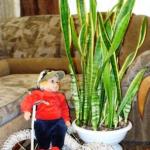 Бумагу пустим в дело. Велосипед для кукол своими руками!