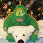 В ожидании восточного года - Дракона