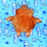 Boohbah - кукла, прототип Телепузика