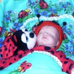 Божьи коровки