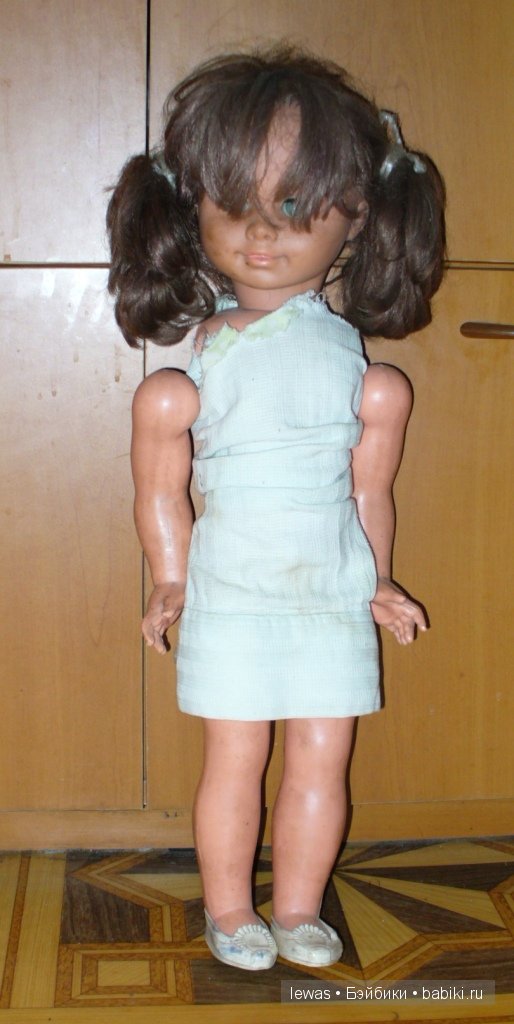 Из дальних странствий возвратясь (фото 2)