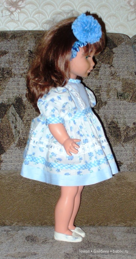 Из дальних странствий возвратясь