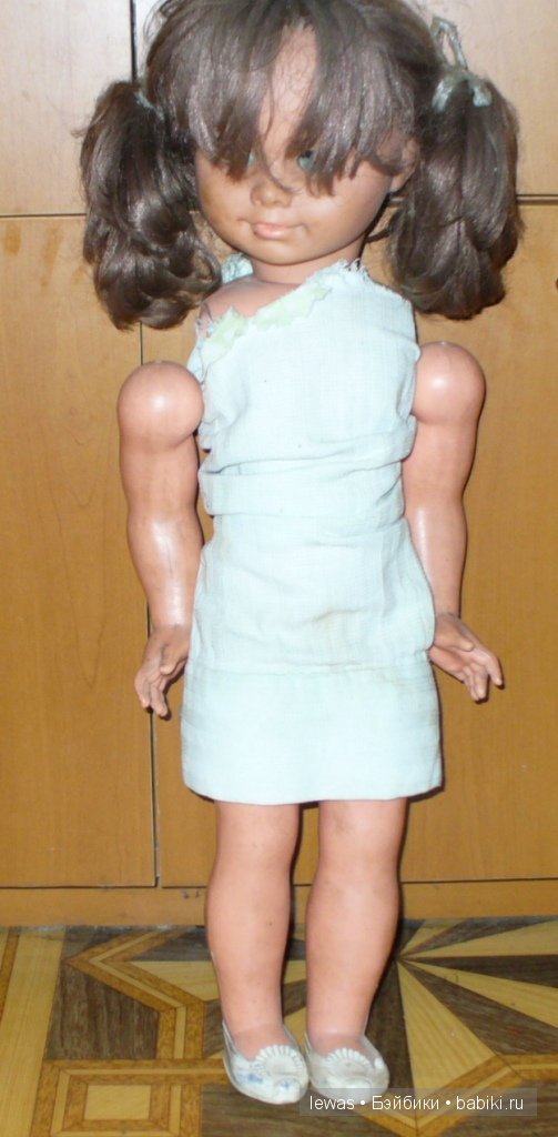 Из дальних странствий возвратясь