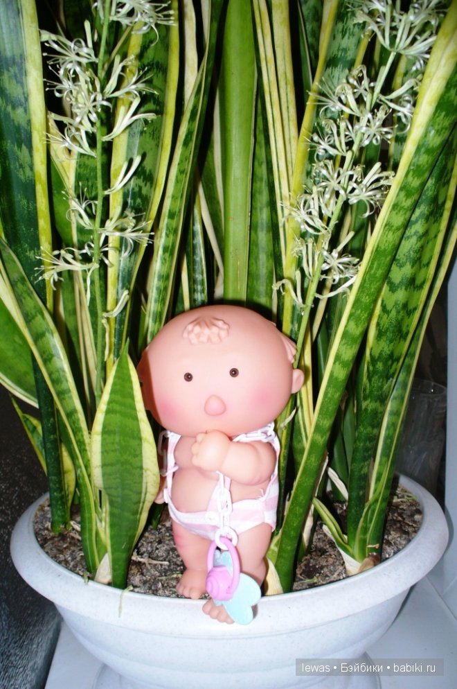 На окне цветок расцвел — Интересные игрушки и фигурки (разное): редкие (фото 10)