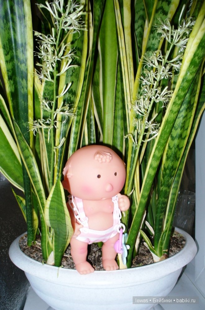 На окне цветок расцвел — Интересные игрушки и фигурки (разное): редкие (фото 9)