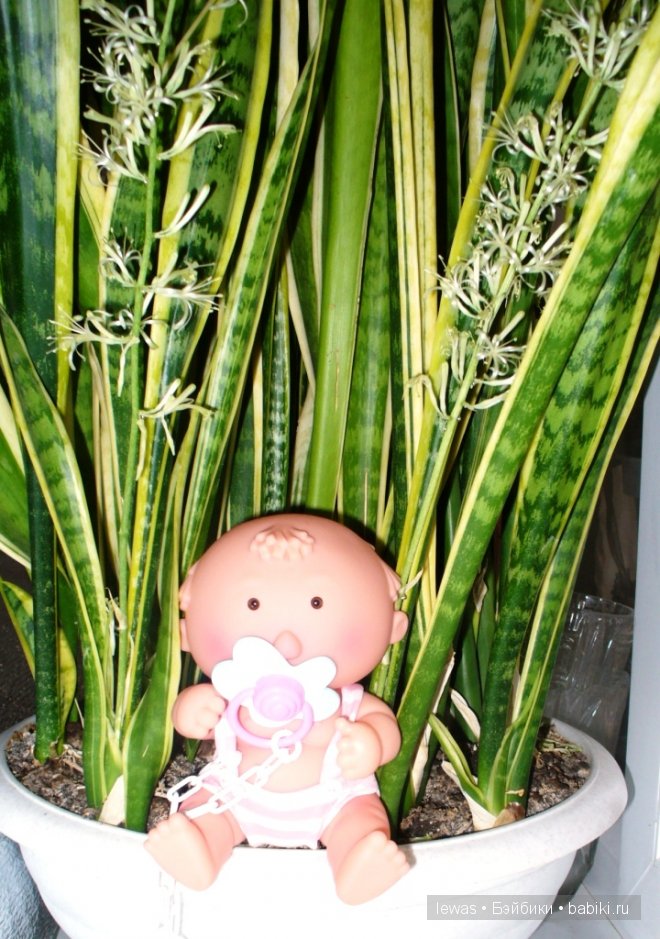 На окне цветок расцвел — Интересные игрушки и фигурки (разное): редкие (фото 7)