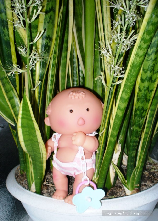 На окне цветок расцвел — Интересные игрушки и фигурки (разное): редкие