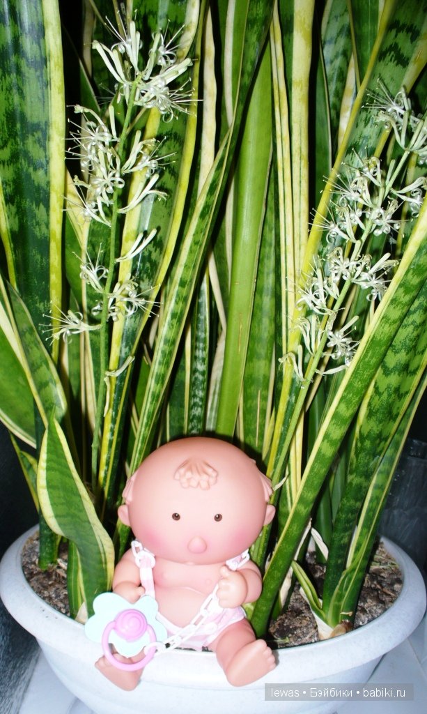 На окне цветок расцвел — Интересные игрушки и фигурки (разное): редкие (фото 6)