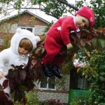 Пока мама в лес ходила, ребетня на даче не грустила!