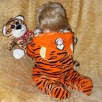 Солнечный тигренок! Борис от Paola Reina