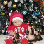 Новогодние подарки