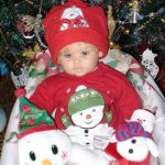 Здравствуй, китайский Новый год! Борис от Paola Reina