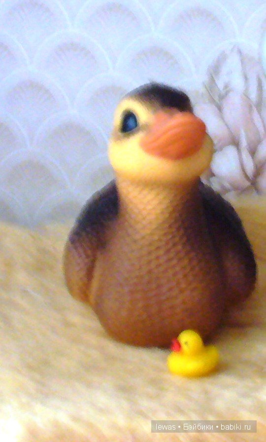 Вышли уточки гулять. Коллекция игрушек ПВХ (фото 6)