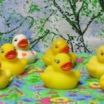 Вышли уточки гулять. Коллекция игрушек ПВХ