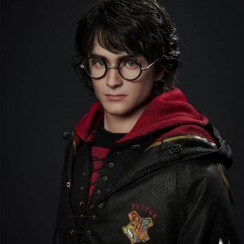 Harry Potter (Goblet of Fire) 1/6