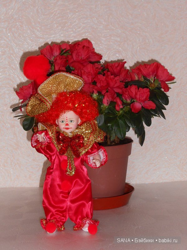 Мой позитивный мальчик - Клоун ROBIN WOODS