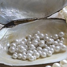 Расскажите о своей коллекции кукол