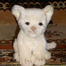 Шайна - белый львёнок