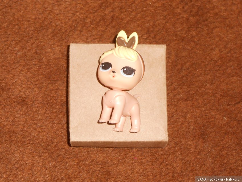 Моя маленькая шоколадная Бони (фото 2)