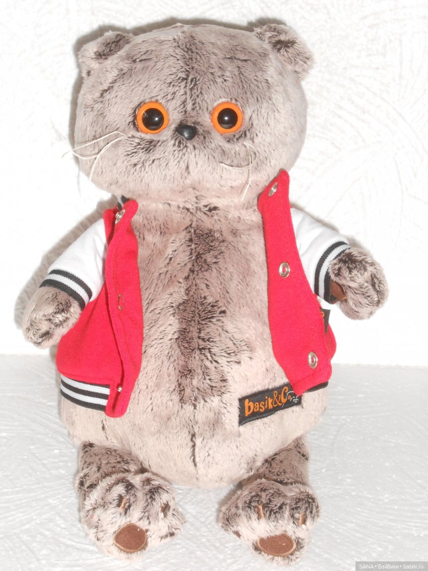 Басик — Кот Басик (фото 8)