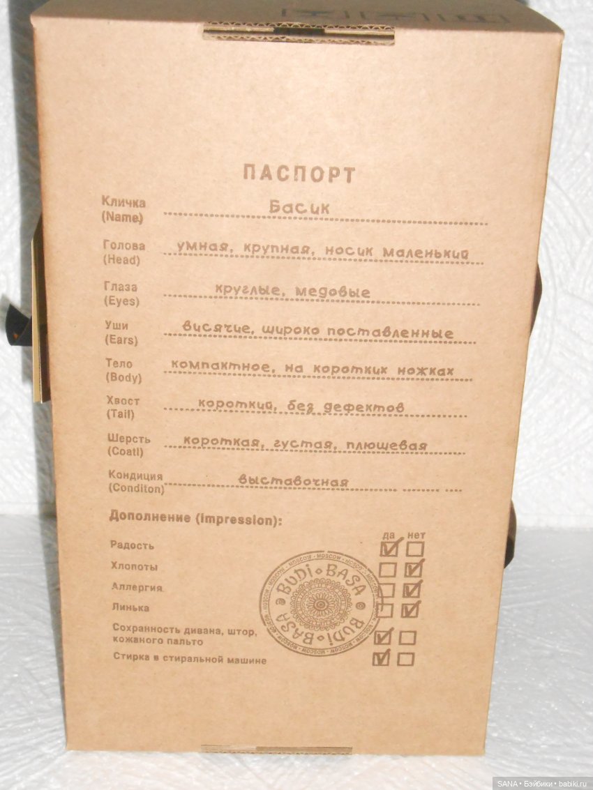 Басик — Кот Басик