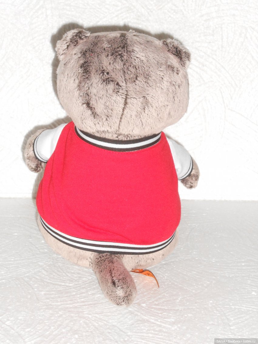 Басик — Кот Басик (фото 7)