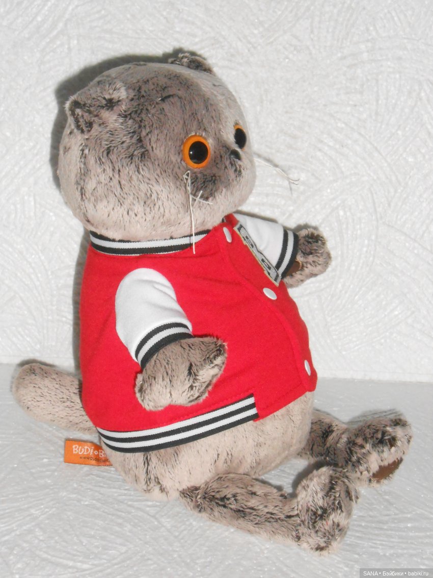 Басик — Кот Басик (фото 5)